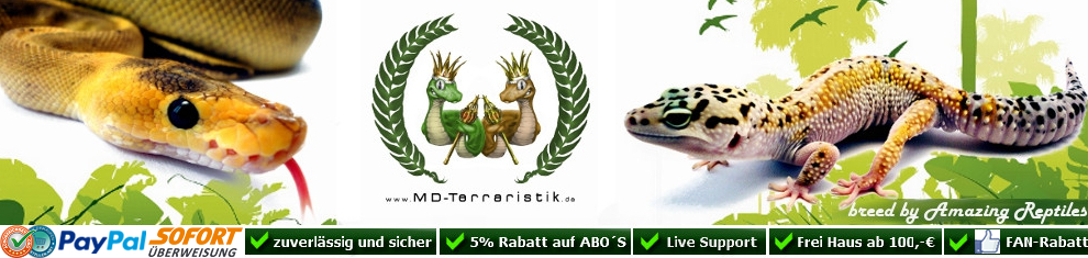 reptil online shop
